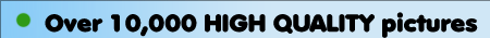 10,000 high quality pictures